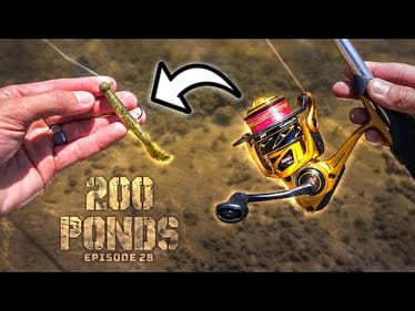 DO NOT Fish This Lure In YOUR Pond… (200 Ponds Ep. 28)