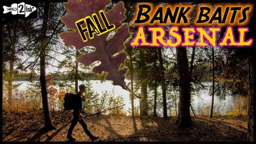 15 FALL BANK FISHING Lures for Bass that Produce