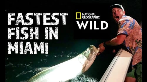 Fish My City MIAMI Recap