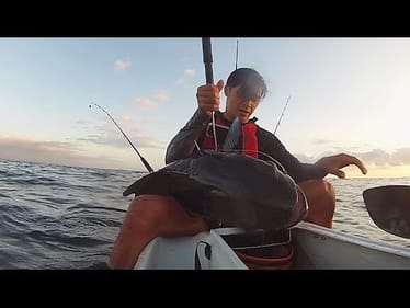 Kayak fishing Cobia off the Gold Coast.