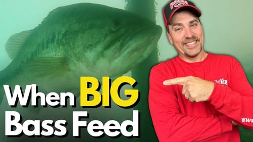 The TRUTH About When Big Bass Feed
