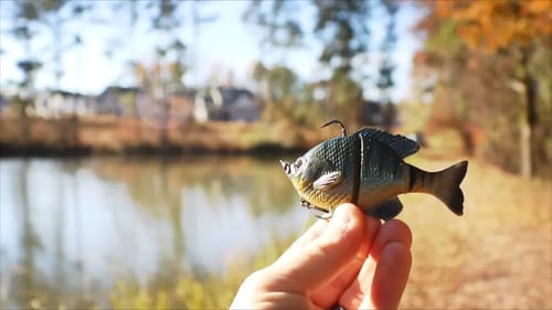 $30 Field & Stream CHALLENGE **EPIC FAIL**