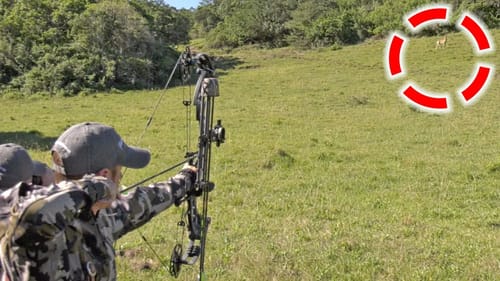 SEVERE Bow Hunting Mistake | Disappointed in Myself