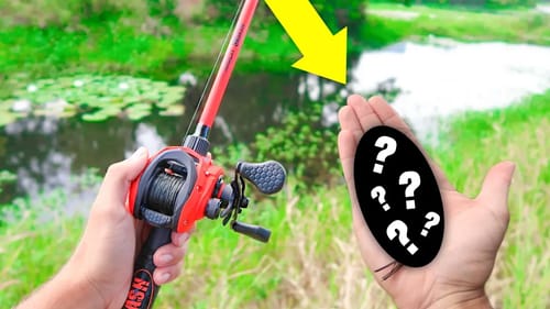 Searching for BIG Bass w/ NEW Baits (Fall Bank Fishing)