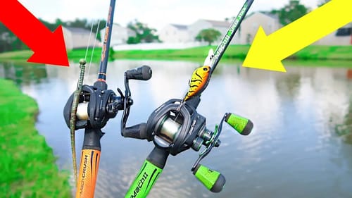 Searching for GIANT Bass w/ BIG WORMS & Crankbaits (Pond Fishing)
