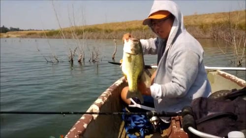 Topwater Frog-Bass Fishing