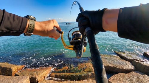 the most dangerous thing I've done while fishing - catching new species
