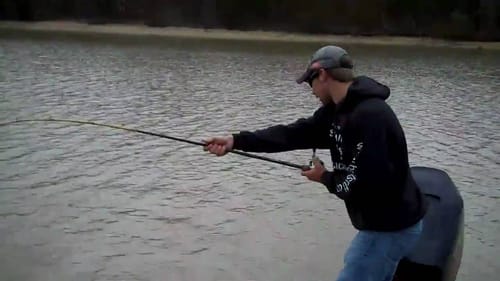 Giant Carp!
