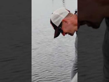 FINESSE Baits for BIG BASS!