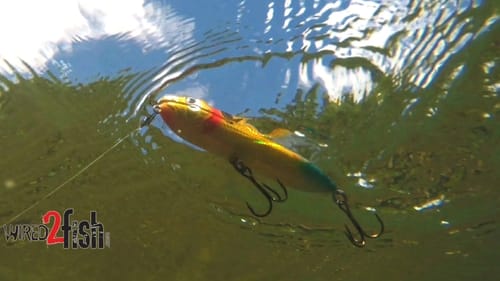 Fish Topwater Walking Baits (Spooks) for Offshore Bass
