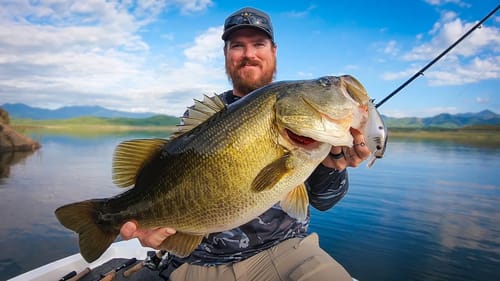 Giant Bass Everywhere!! Incredible Bass Fishing on Lake Baccarac!
