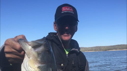 Jigs vs Creature Baits?...The No. 1 key to deciding!