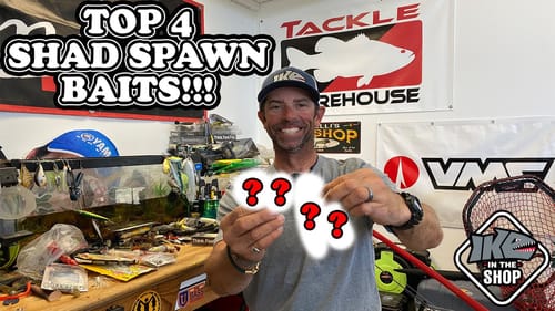 Unlocking the Shad Spawn: Proven Lures and Techniques for Bass Fishing | Top 4 Shad Spawn Baits