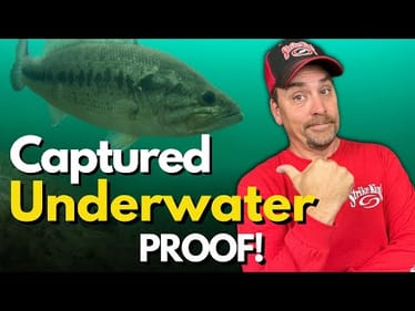 You'll NEVER Approach Cold Front Bass the Same After Watching This