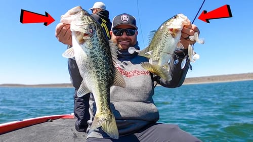 Big Swimbaits and Topwater For Spring Bass | Texas Bass Fishing