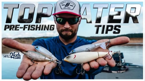 Enhance Your Pre-Fishing with Noisy Topwater Lures