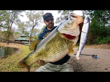 The most EPIC BASS CATCH of my LIFE!? (12 inch Swimbait)