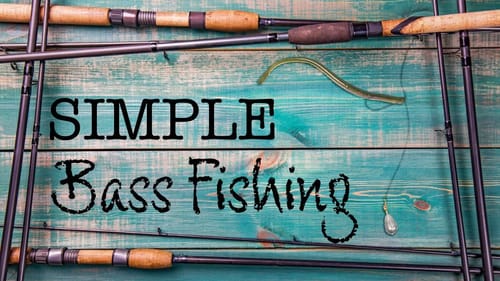 💧💉 Dropshot Bass Fishing is SIMPLE