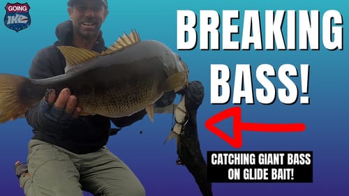 Breaking Bass: Catching GIANT BASS on Glide Baits! (2022)