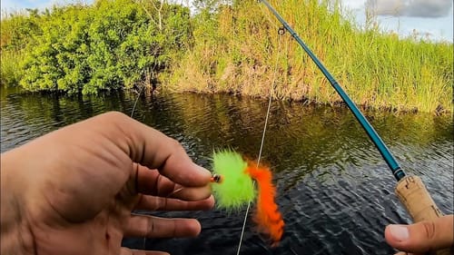 Exotic Multi Species Fishing Challenge