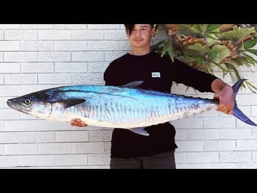 Why This Fish Starts So many Arguments