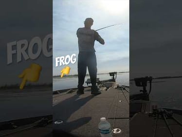 Topwater Frog Fishing MLF Lake Okeechobee #shorts #bassfishing #topwater