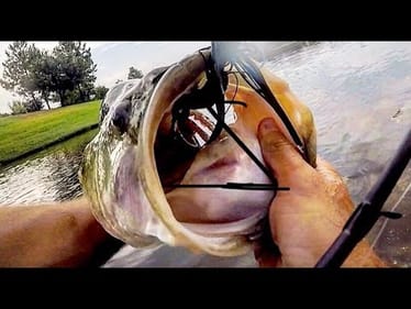 GIANT BASS caught using JIGS!