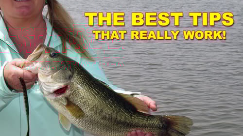 How To Fish A Finesse Worm (The Best Ways) | Bass Fishing