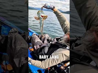 Have You Ever Caught One of These?!?