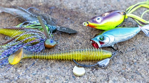 Pond Fishing For Bass - Best Baits and Techniques