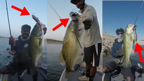 Catching Big Bass On Rat Swimbaits And Glide Baits!