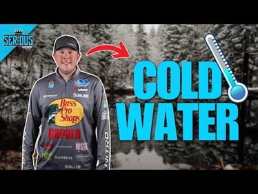 PRO Level COLD Water Bass Fishing Myths & Tips!