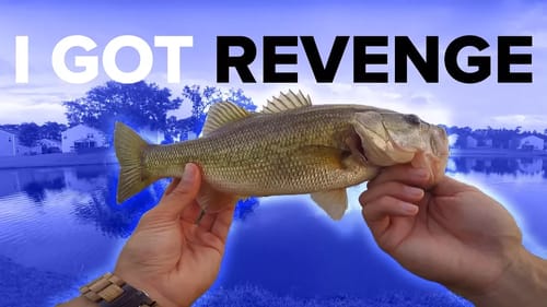 I GOT REVENGE