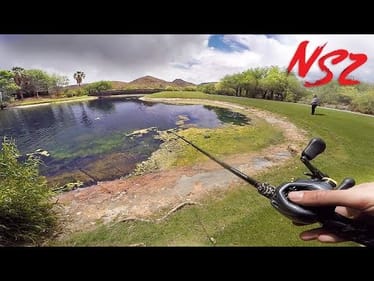 SNEAKING Into GOLF COURSE Tropical Ponds (Never Stop Tour Pt. 7)