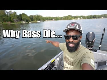 Why Bass Are Dying At A ALARMING Rate In TOURNAMENTS