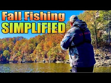 Fall Fishing Simplified with 4 Baits You Need Now