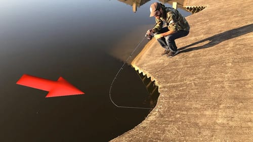CATCHING FISH from INSIDE A CULVERT!!