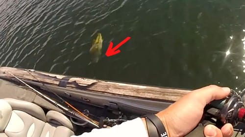 This SIMPLE Beginner Tip Will Catch You 3 TIMES As Many BASS (For Real)