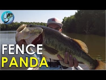 My Go-To Summer Pattern for Shallow Bass | Bass Fishing Strategies