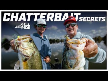 ChatterBait Fishing Techniques with Stephen & Beau Browning