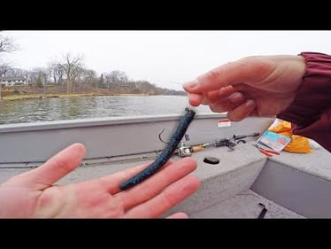 The Lure That ALWAYS Catches Fish