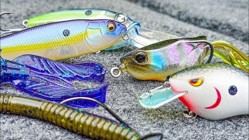 Top 5 Baits For June Bass Fishing!