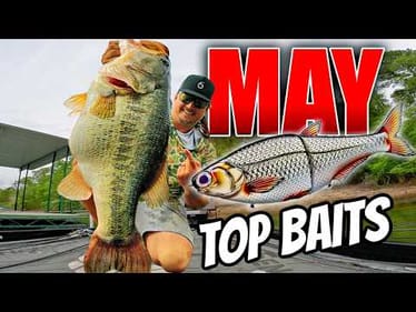 Out-Fish EVERYONE at Your Lake with these Top 10 Baits for May!