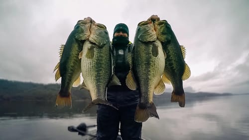 How To Catch The Biggest Bass Of Your Life This Winter! (Full Seminar)
