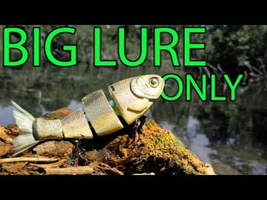 Fishing With BIG LURES Only For The Day (Challenging!)