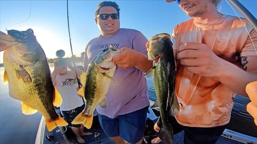 Tripled Up on Big Largemouth with Frogs!