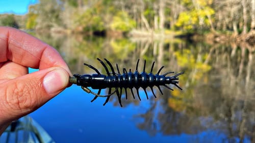 Florida River Fishing on NEW KAYAK!!
