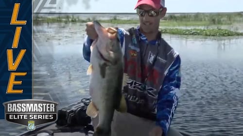OKEECHOBEE: Brandon Cobb racking up the big bass; close to 30 pounds