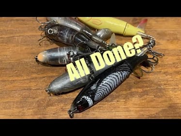 Don’t Waste Your Time Fishing Whopper Ploppers Anymore…