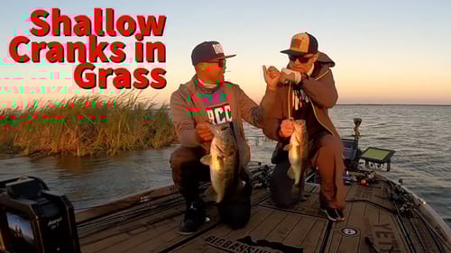Big Crankbaits in the Shallow Grass of Florida with @OliverNgy
